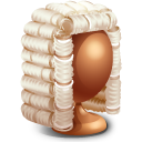 Judge icon